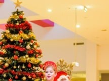 Christmas Show la Oradea Shopping City