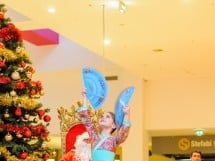 Christmas Show la Oradea Shopping City