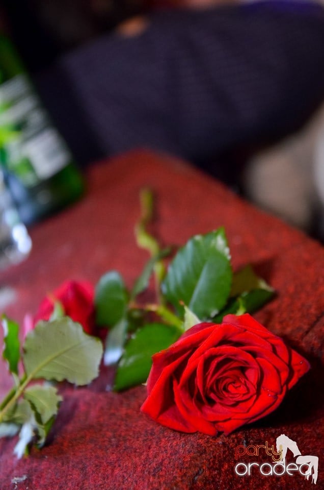 Club Escape nu doarme!, 