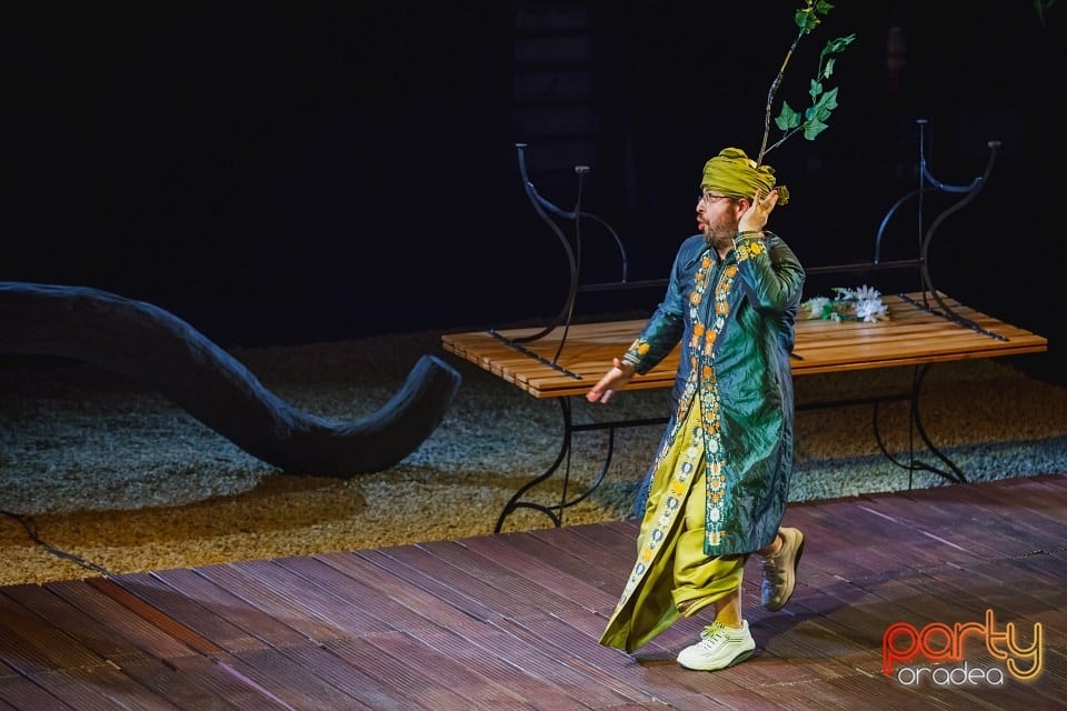 Cometa, Teatrul Regina Maria