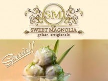 Complex Magnolia