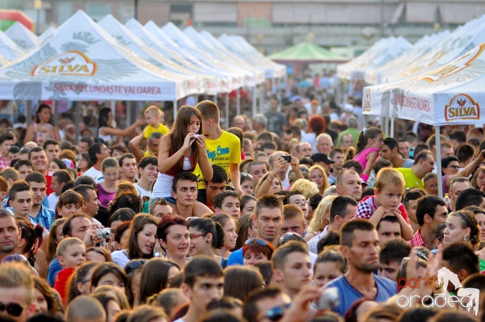 Concert Alex Velea, Cetatea Oradea