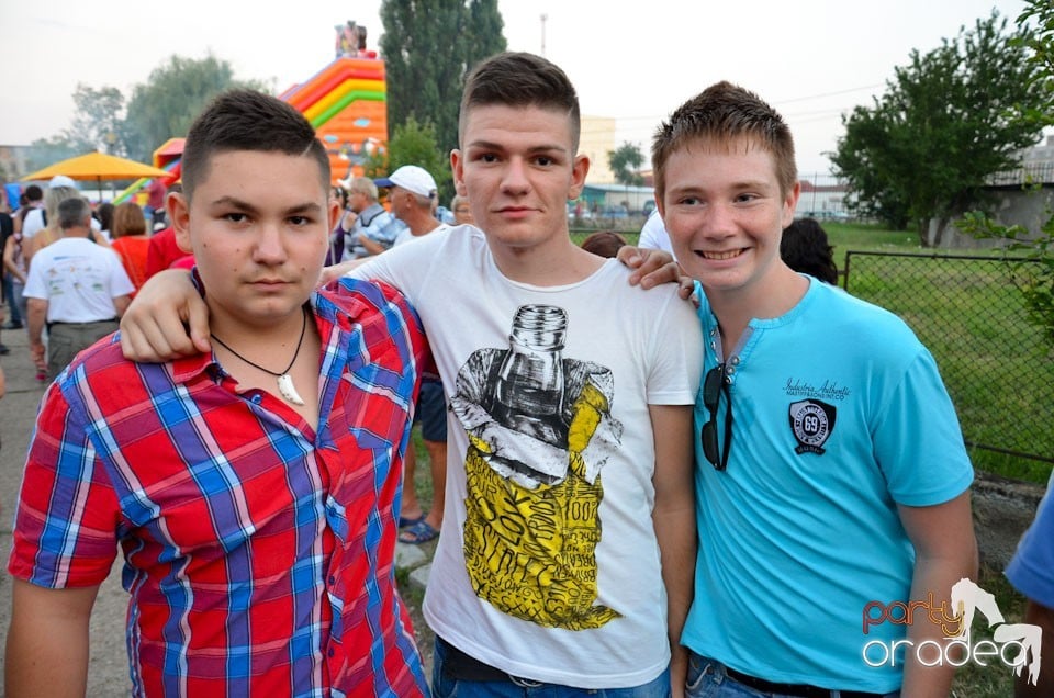 Concert Alex Velea, Cetatea Oradea