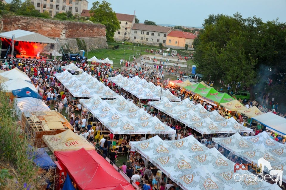 Concert Alex Velea, Cetatea Oradea