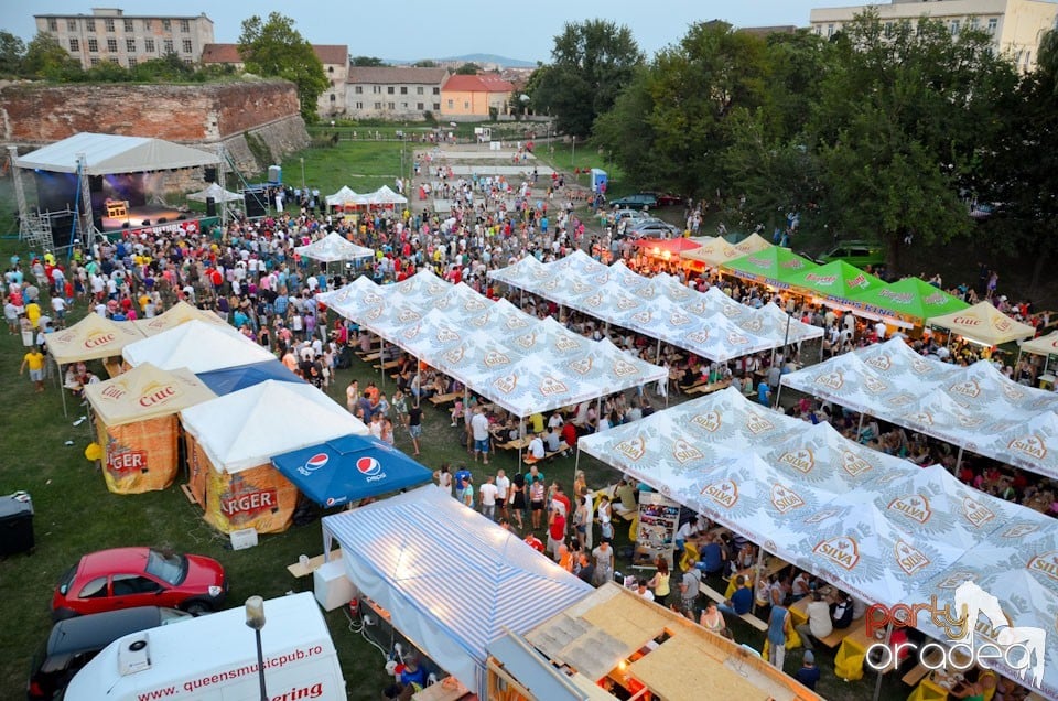 Concert Alex Velea, Cetatea Oradea