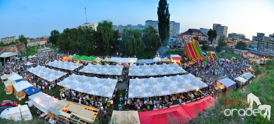 Concert Alex Velea, Cetatea Oradea