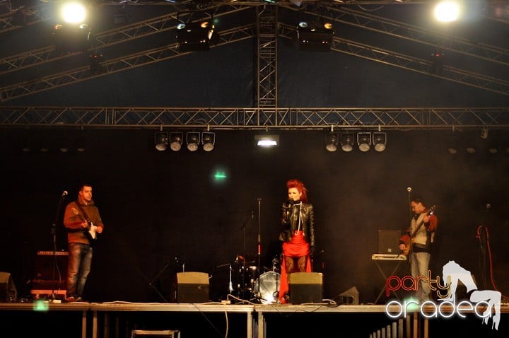 Concert Ana Maria Georgescu, 