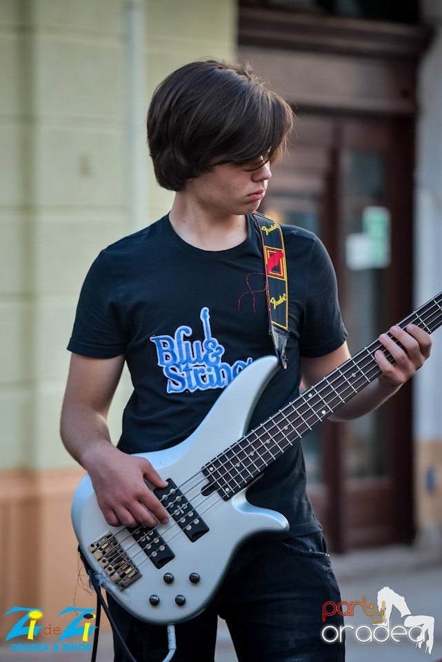 Concert Blue Strings, Oradea