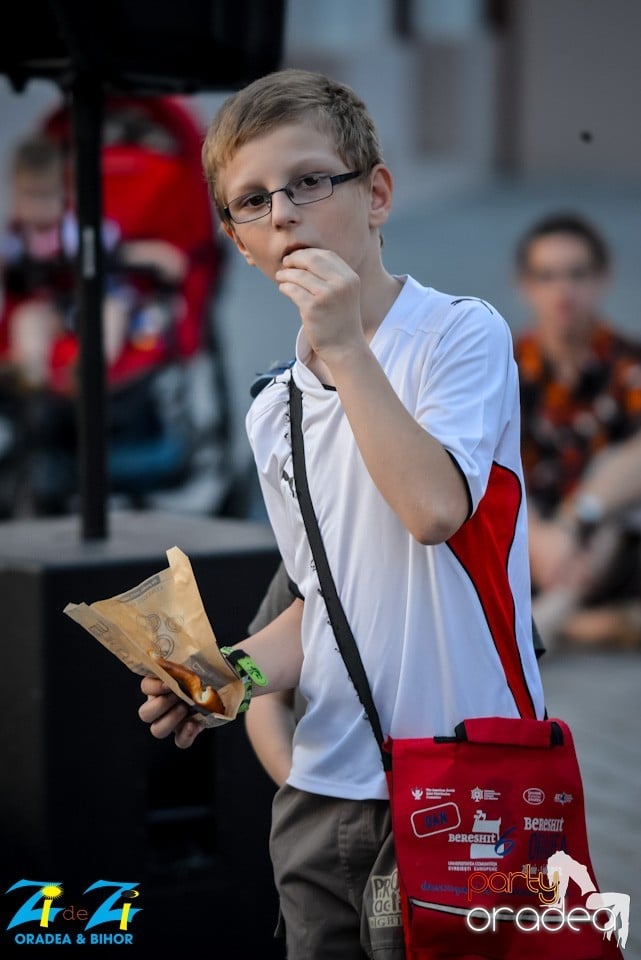 Concert Blue Strings, Oradea