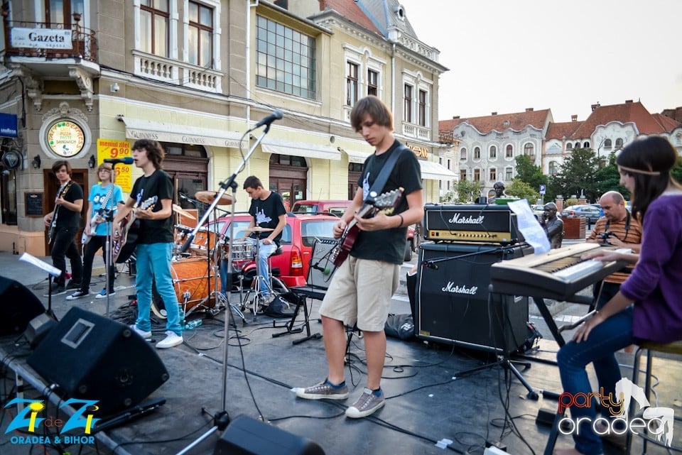 Concert Blue Strings, Oradea