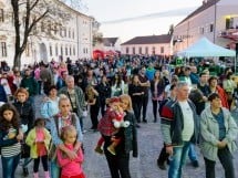 Concert Bordó Sárkány