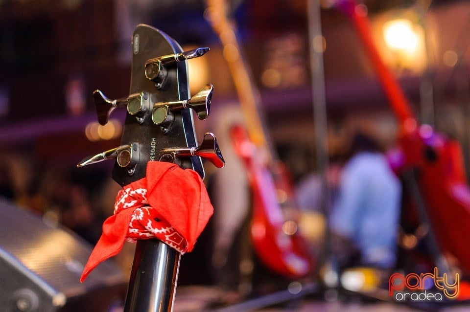 Concert caritabil pentru Ana-Maria,