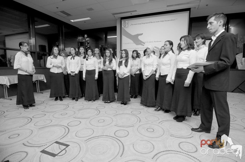 Concert caritabil, Hotel Ramada