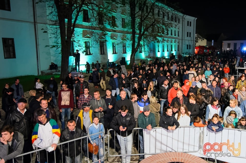 Concert Celelalte Cuvinte, Cetatea Oradea