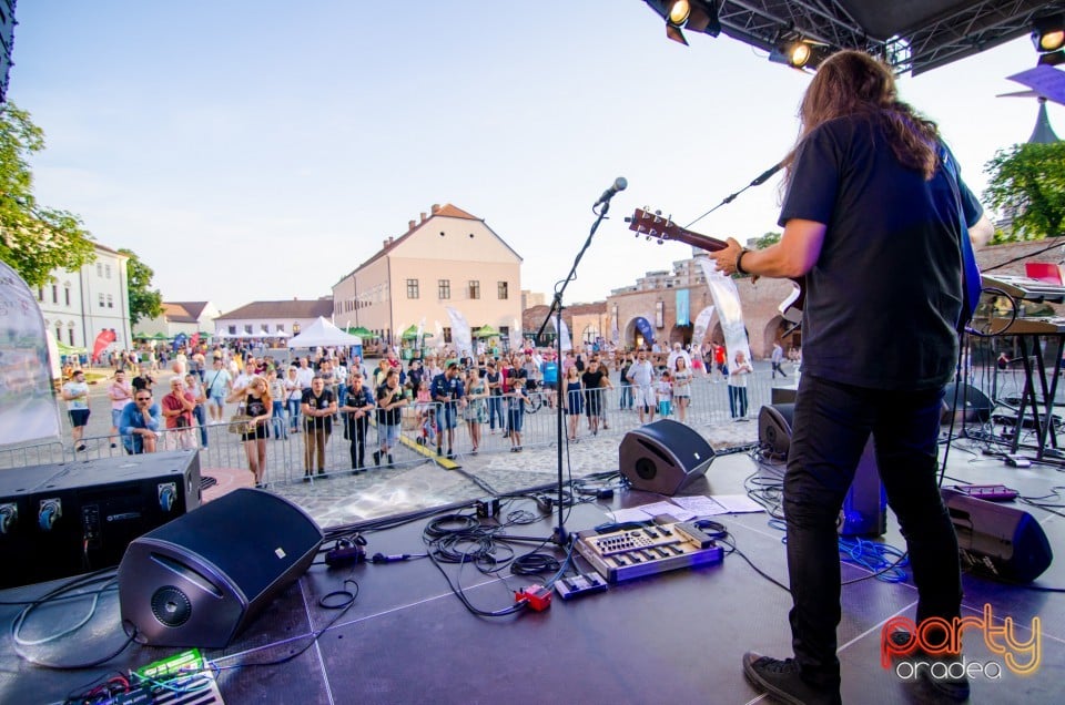 Concert Dan Andrei Aldea, Cetatea Oradea