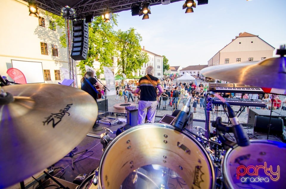 Concert Dan Andrei Aldea, Cetatea Oradea