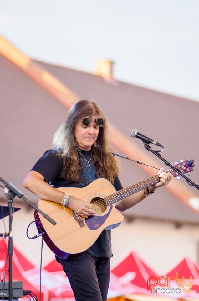 Concert Dan Andrei Aldea, Cetatea Oradea