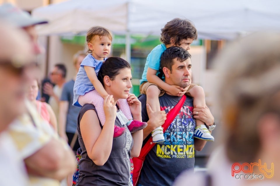 Concert Dan Andrei Aldea, Cetatea Oradea