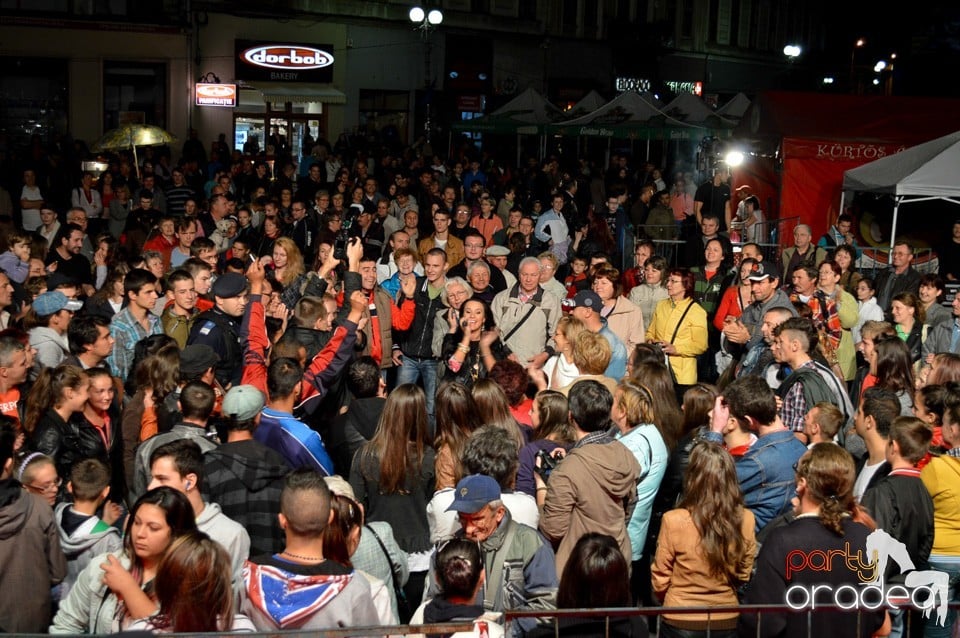 Concert Dancs Annamaria la Toamna Oradeana, Oradea