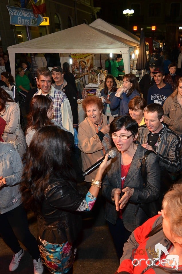 Concert Dancs Annamaria la Toamna Oradeana, Oradea