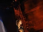 Concert David Bryan