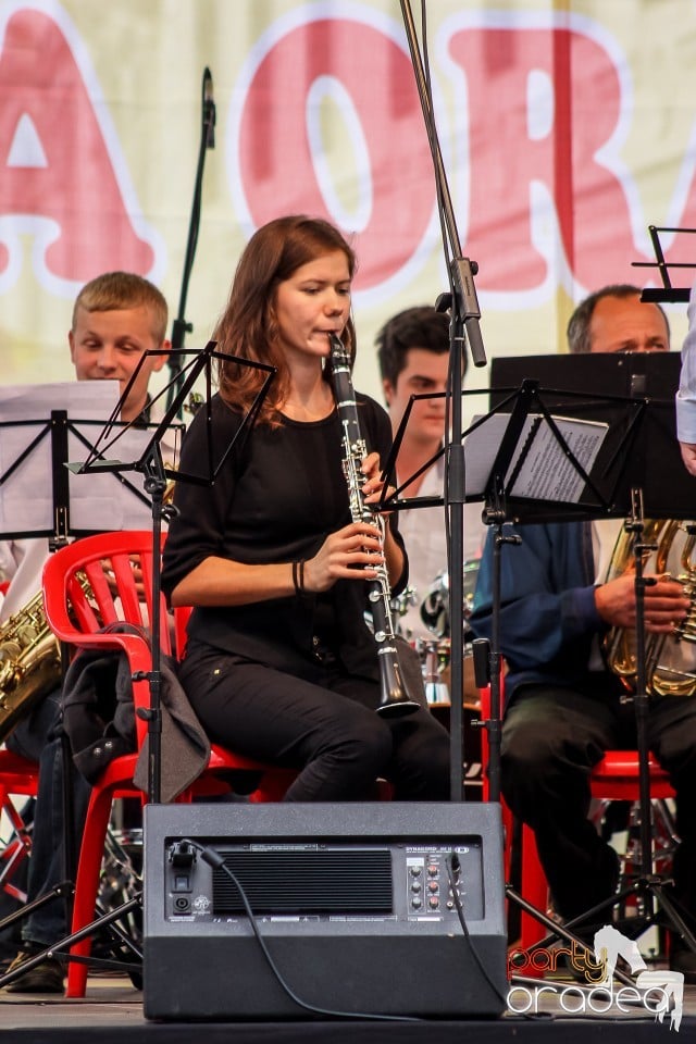 Concert de muzica de fanfara, Oradea