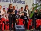 Concert de muzica de fanfara