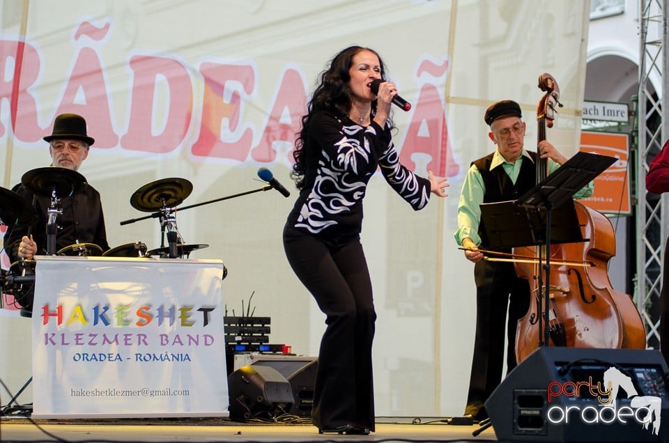 Concert de Muzica Klezmer, Oradea