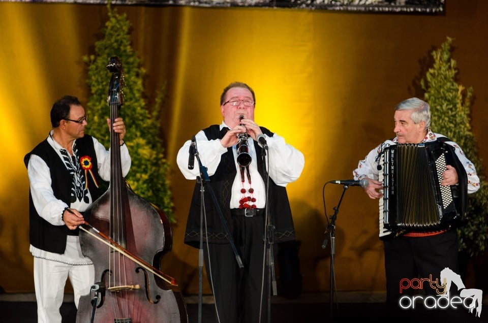 Concert de muzica populara, Casa de Cultură a Sindicatelor din Oradea