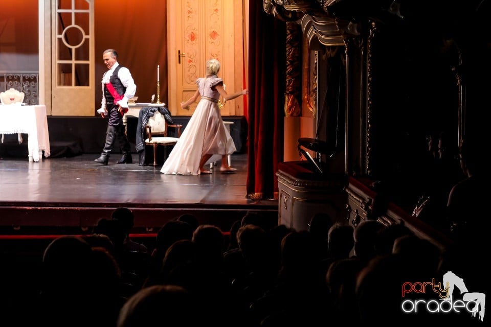 Concert de opera Tosca, Teatrul Regina Maria