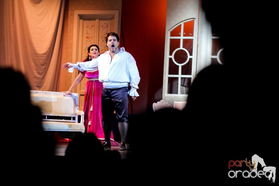 Concert de opera Tosca, Teatrul Regina Maria