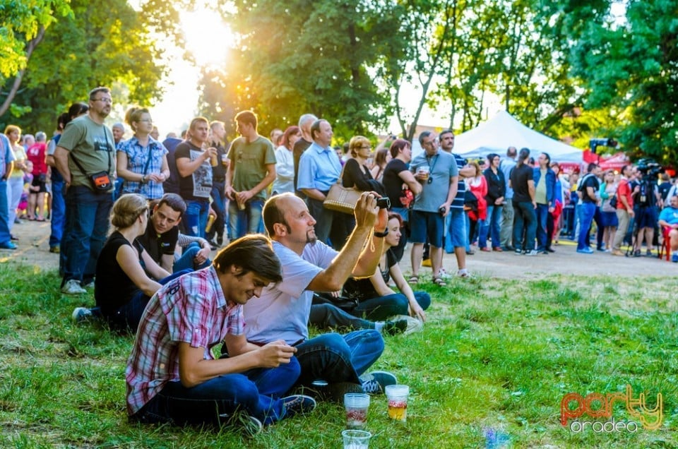 Concert Deák Bill Gyula, Oradea