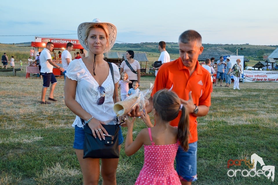 Concert Desperado la Rodeo, Băile Felix