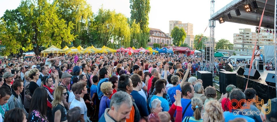 Concert Desperado, Cetatea Oradea