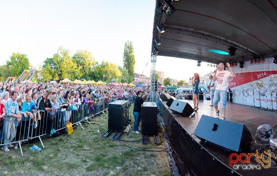 Concert Desperado, Cetatea Oradea