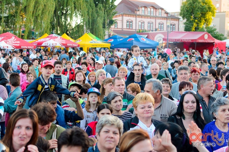 Concert Desperado, Cetatea Oradea