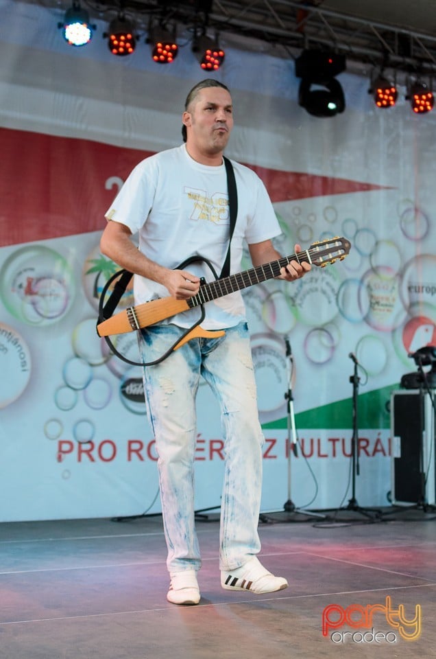 Concert Desperado, Cetatea Oradea