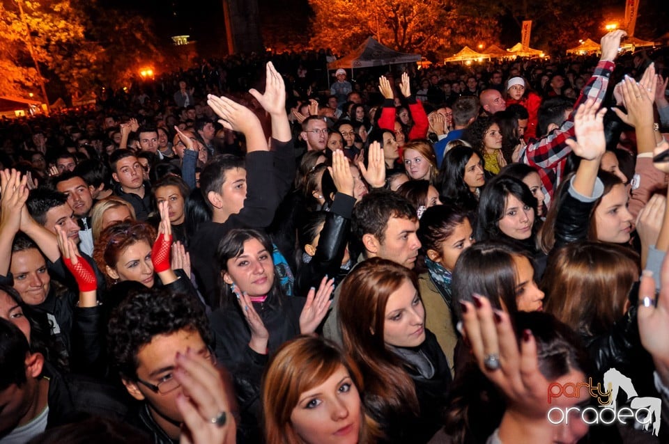 Concert Direcţia 5,