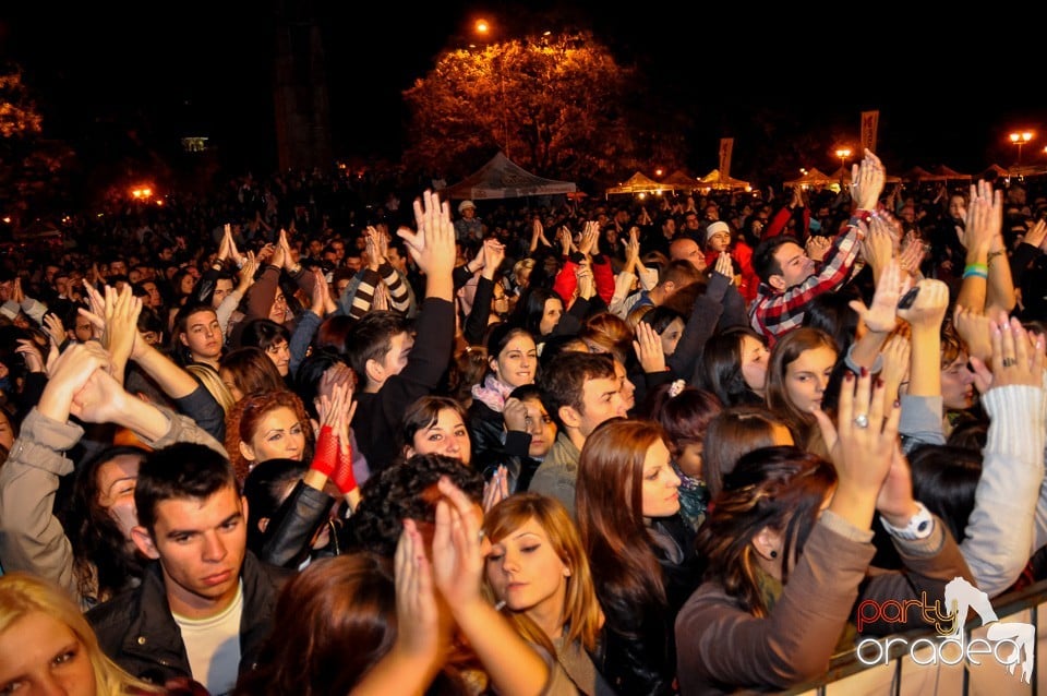 Concert Direcţia 5,
