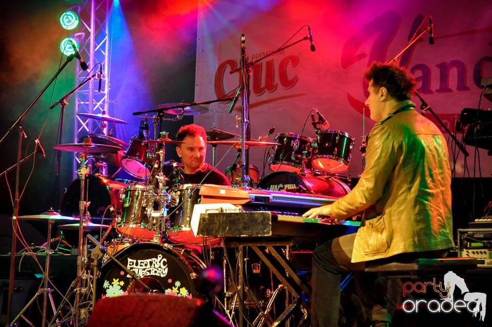 Concert Direcţia 5,