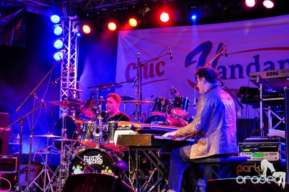 Concert Direcţia 5,