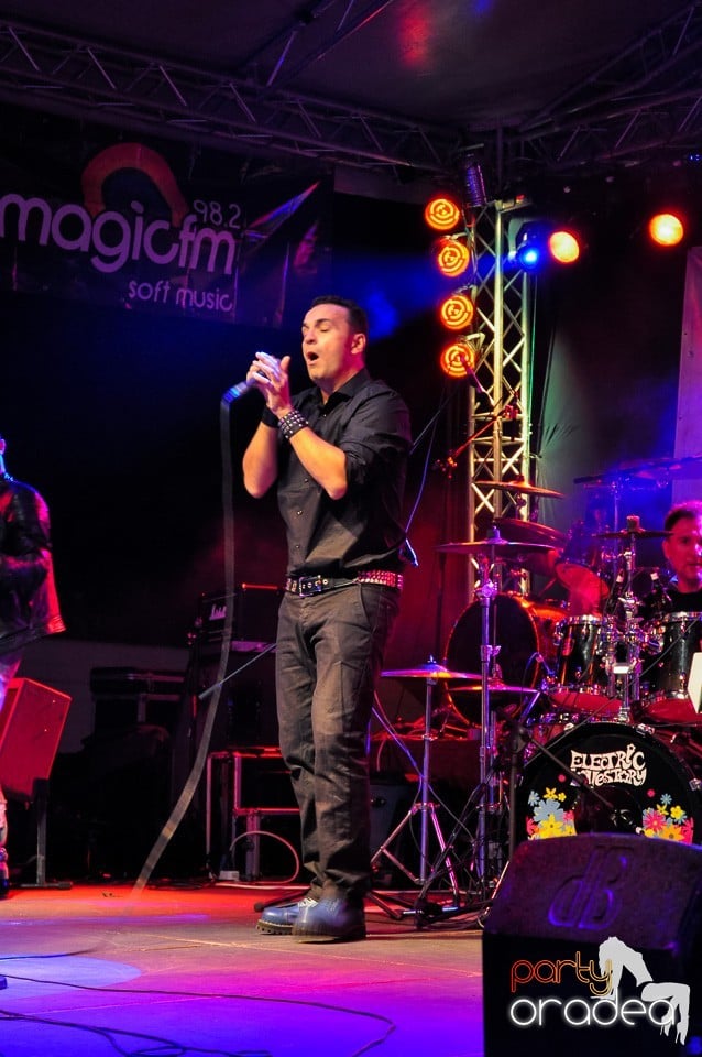 Concert Direcţia 5,
