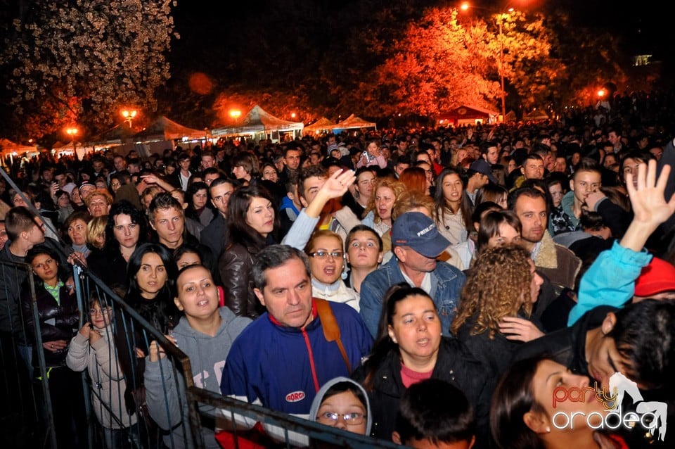 Concert Direcţia 5,