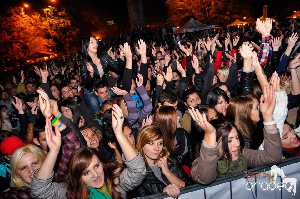 Concert Direcţia 5,