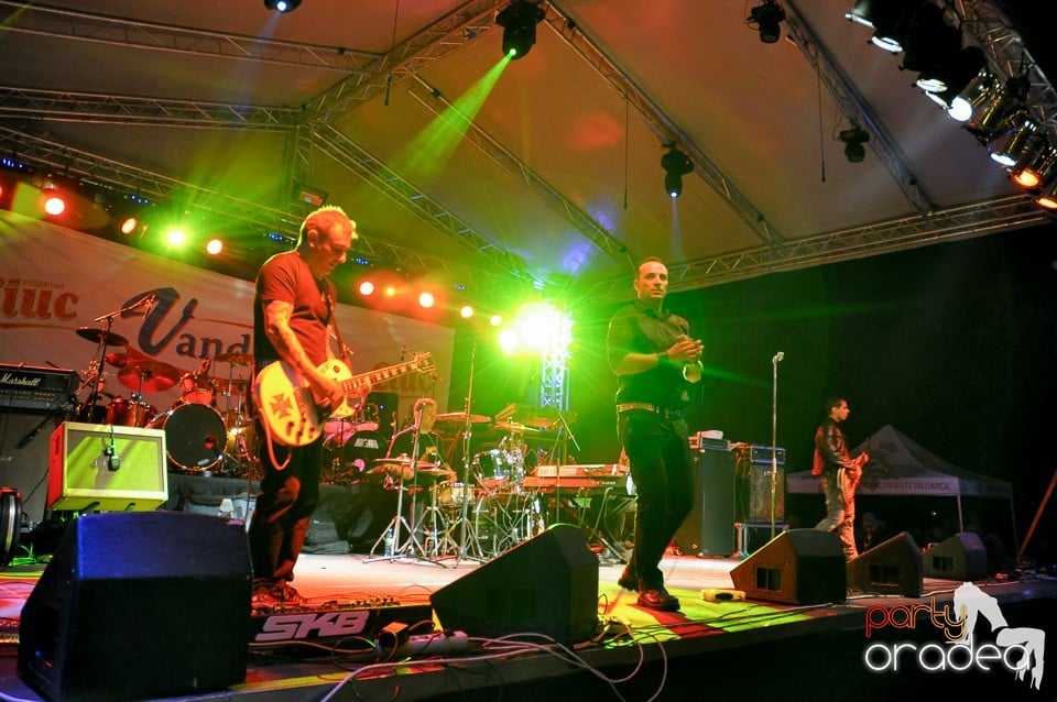 Concert Direcţia 5,