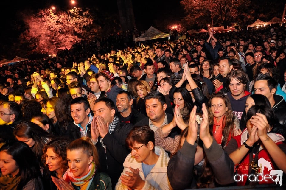 Concert Direcţia 5,