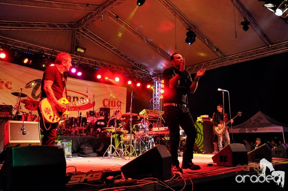 Concert Direcţia 5,