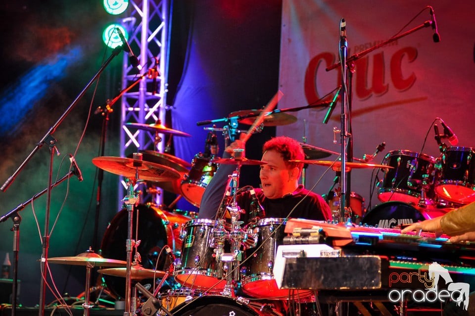 Concert Direcţia 5,
