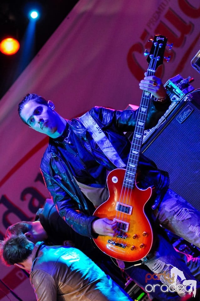 Concert Direcţia 5,