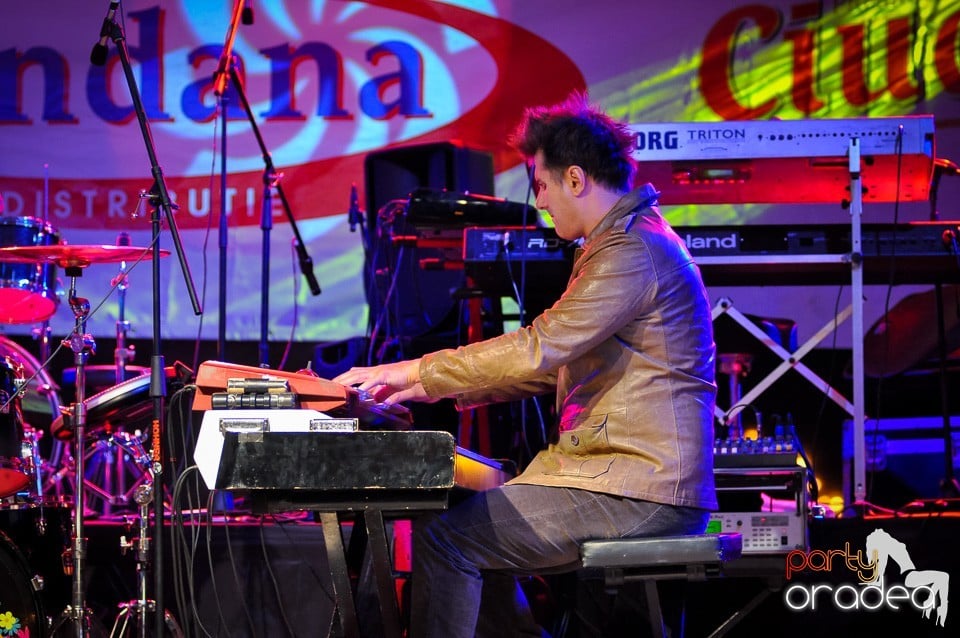 Concert Direcţia 5,